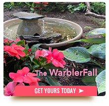 Warblerfall. Click to Learn More!