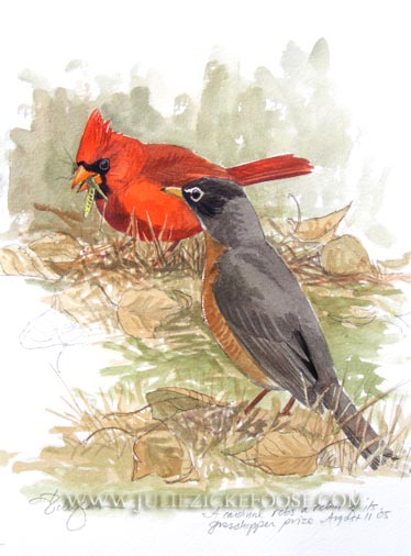 Northern cardinal, kleptoparasitizing American robin